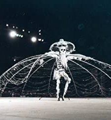 Mas Man Peter Minshall (2010) afişi