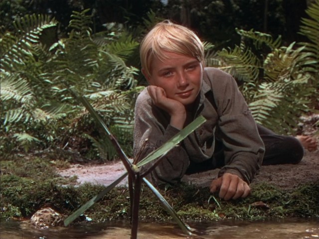 The Yearling Fotoğrafı