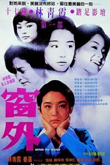 Outside The Window (1973) afişi