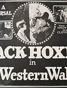 The Western Wallop (1924) afişi