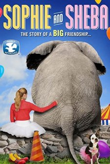 Sophie (2010) afişi