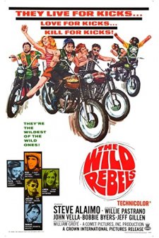 Wild Rebels (1967) afişi