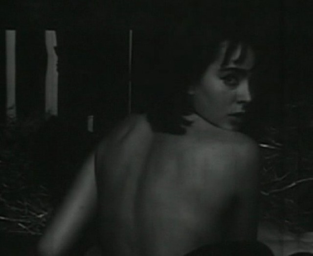 Dancing W Kwaterze Hitlera Fotoğrafı