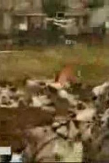 Altyapı (2007) afişi