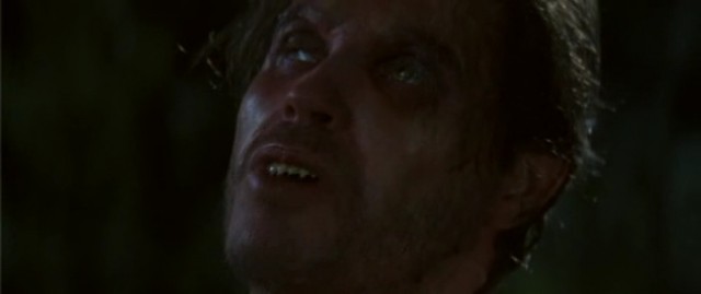 Bad Moon Fotoğrafı