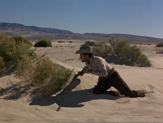 Posse From Hell Fotoğrafı