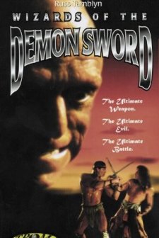 Wizards Of The Demon Sword (1991) afişi
