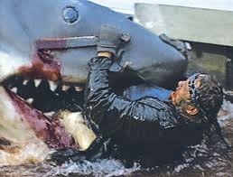 Jaws Fotoğrafı