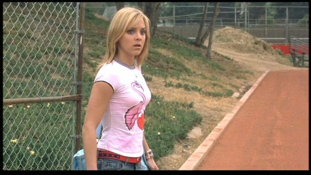 Ateşli Piliç Fotoğrafı