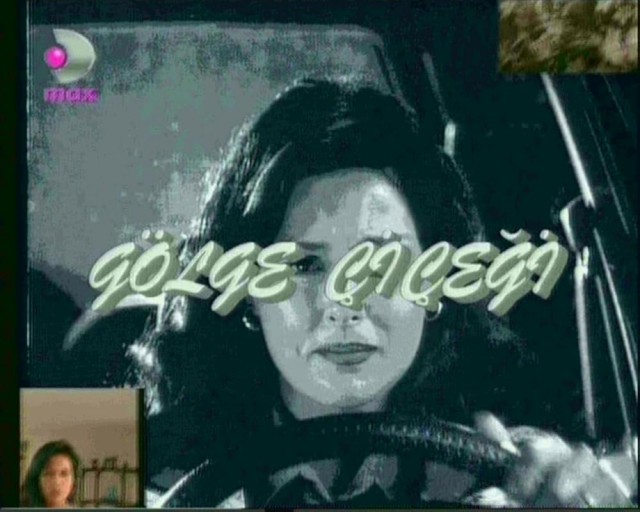 Gölge Çiçeği (1995) afişi