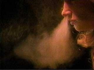 Katil Doğanlar Fotoğrafı