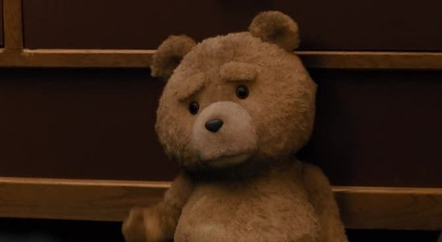 Ayı Teddy Fotoğrafı