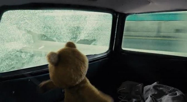 Ayı Teddy Fotoğrafı