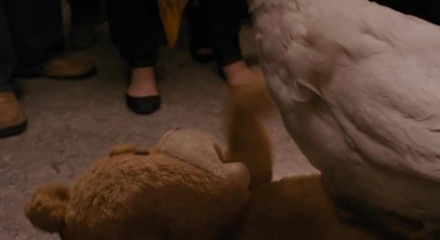 Ayı Teddy Fotoğrafı