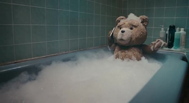 Ayı Teddy Fotoğrafı