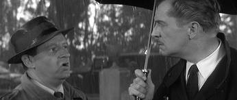 Blaue Vom Himmel Fotoğrafı