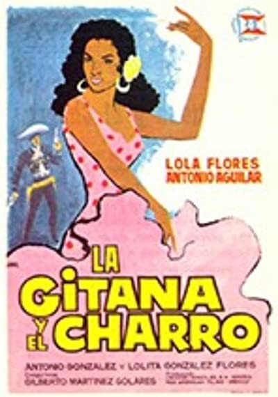La Gitana Y El Charro (1964) afişi