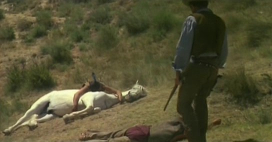 Dos Mil Dólares Por Coyote Fotoğrafı