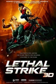 Lethal Strike 3d (2010) afişi