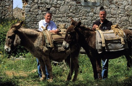 New Europe fotoğrafı