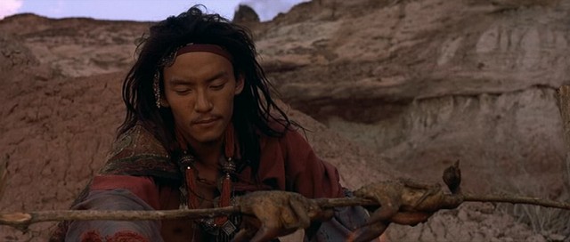 Kaplan ve Ejderha Fotoğrafı