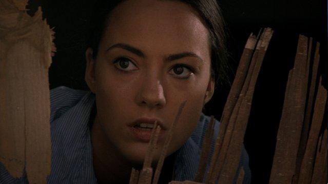 Shadows In Paradise fotoğrafı