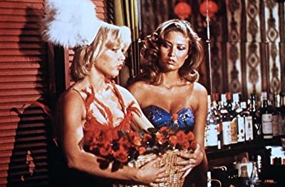 Zwei Däninnen In Lederhosen (1979) afişi