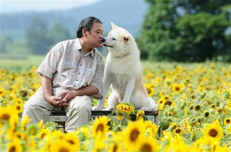 Star Protector Dog fotoğrafı