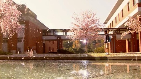 Hachimitsu To Kurôbâ Fotoğrafı