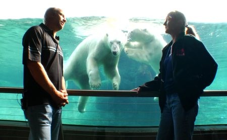 Sizzle: A Global Warming Comedy fotoğrafı