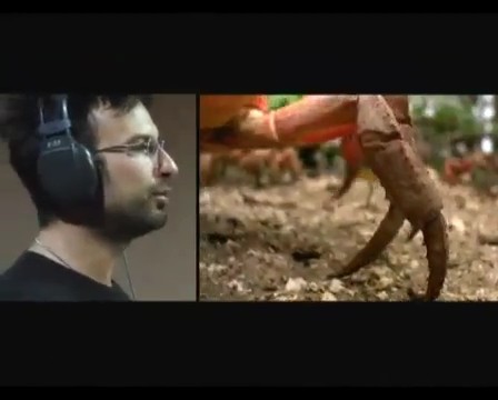 Büyük Göçler Fotoğrafı