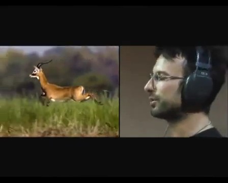 Büyük Göçler Fotoğrafı