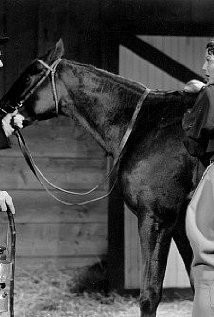 Kentucky Fotoğrafı