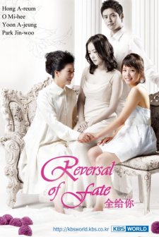 Reversal Of Fate (2009) afişi