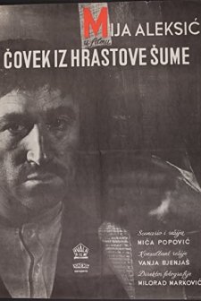 Covek Iz Hrastove Sume (1964) afişi