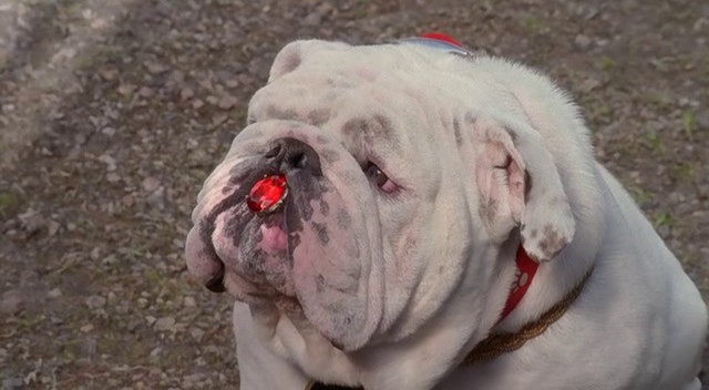 Kuçu Kuçu Baba Fotoğrafı