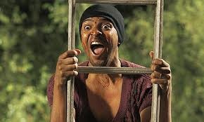 Köpek Evi Fotoğrafı