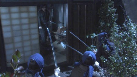 Flower In Bloom fotoğrafı