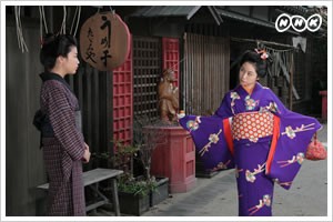 Flower In Bloom fotoğrafı