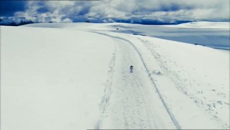 Arapsaçı Fotoğrafı