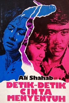 Detik-detik Cinta Menyentuh (1981) afişi