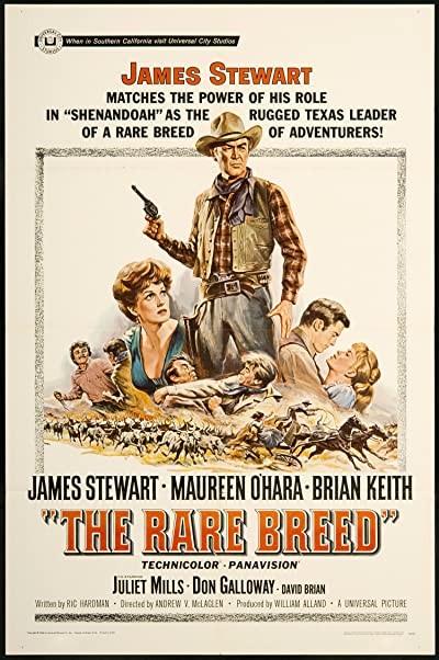 The Rare Breed (1966) afişi