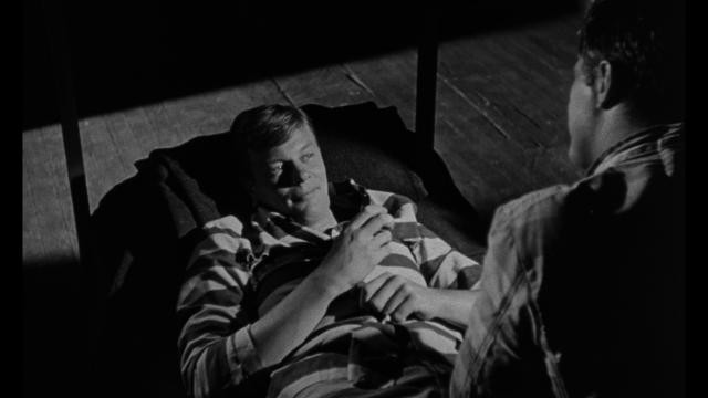 Caniler Avcısı Fotoğrafı