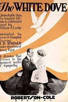 The White Dove (1920) afişi