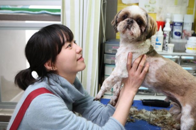 Re-encounter fotoğrafı