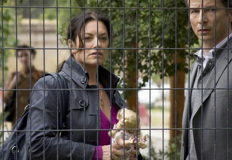 Wie Ein Stern Am Himmel Fotoğrafı