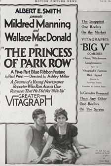 The Princess Of Park Row (1917) afişi