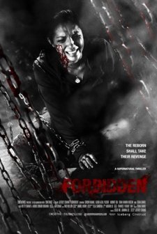 Dilarang Masuk (2011) afişi