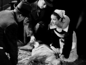 Le Chien Jaune fotoğrafı