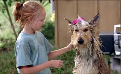 Because Of Winn-dixie Fotoğrafı